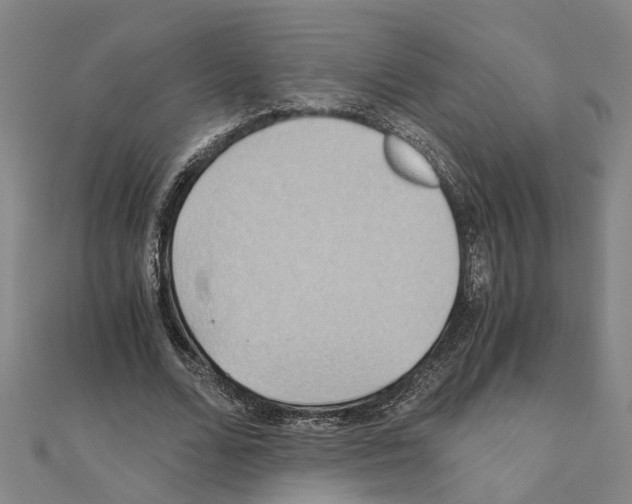 X0000111030680200908061436