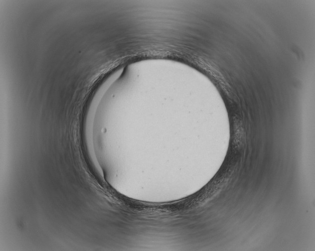 X0000111030681200908061436