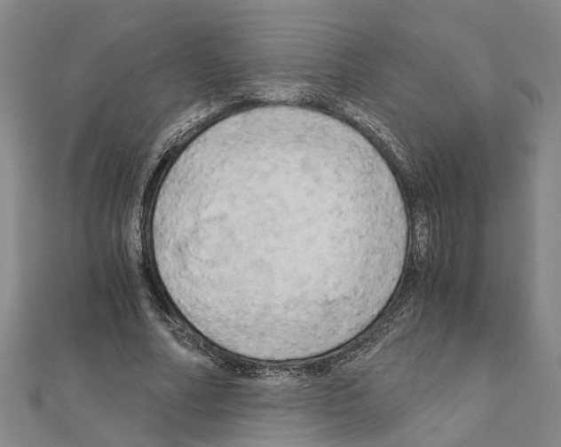 X0000111030682200908061436