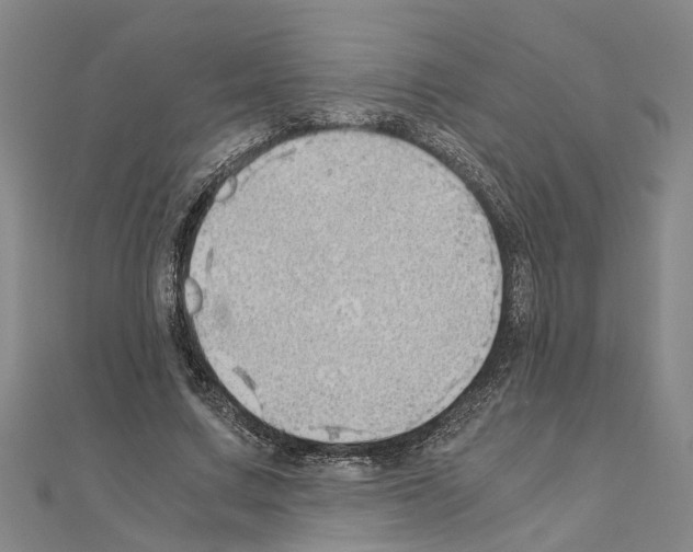 X0000111030683200908061436