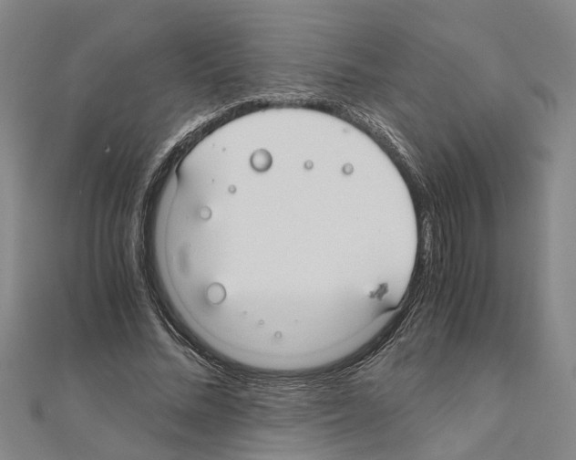 X0000111030684200908061436