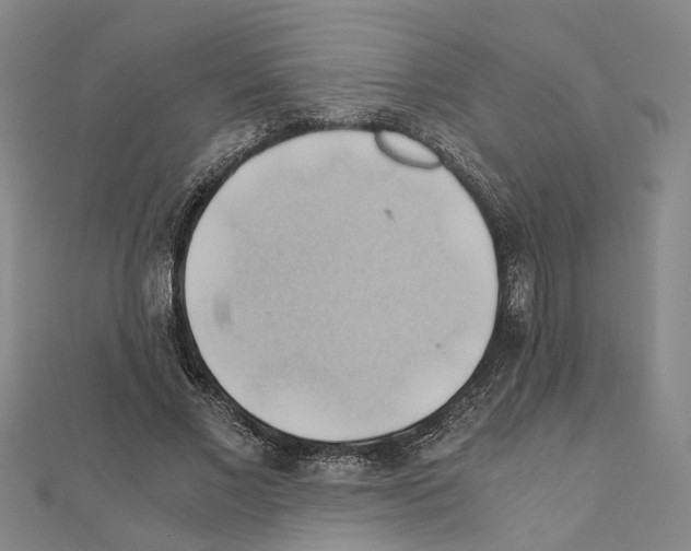 X0000111030685200908061436