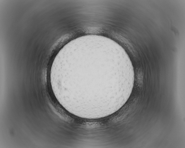 X0000111030686200908061436