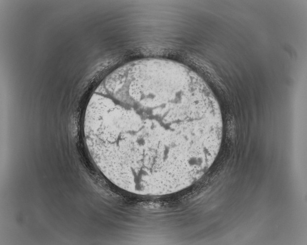 X0000111030687200908061436
