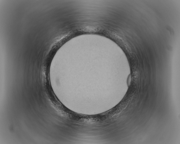 X0000111030688200908061436