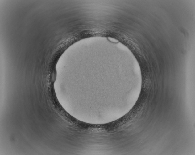 X0000111030689200908061436