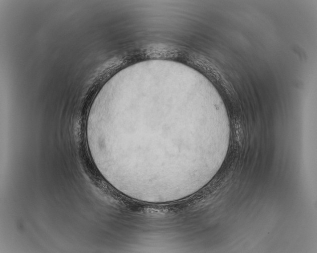 X0000111030690200908061436