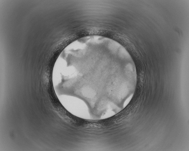 X0000111030691200908061436