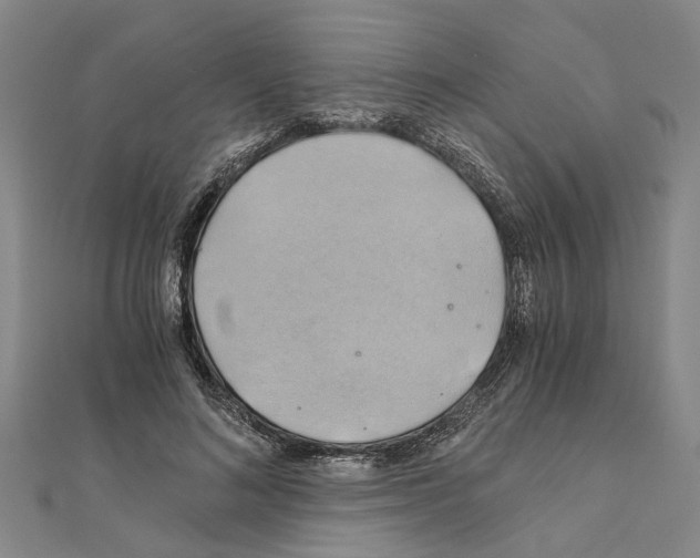 X0000111030692200908061436