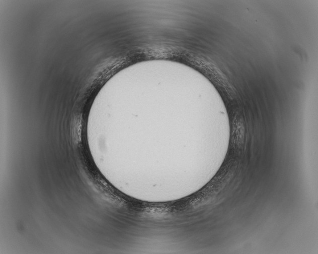 X0000111030694200908061436