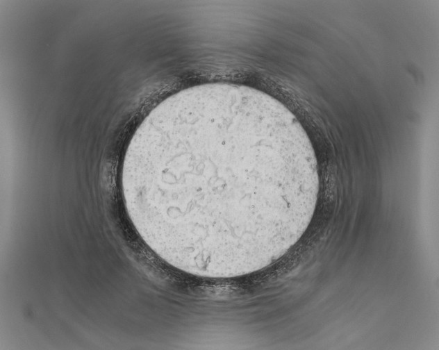 X0000111030695200908061436