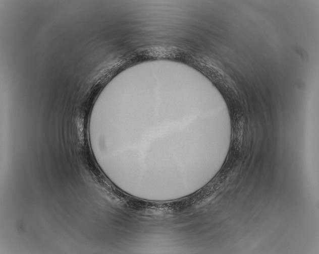 X0000111030696200908061436
