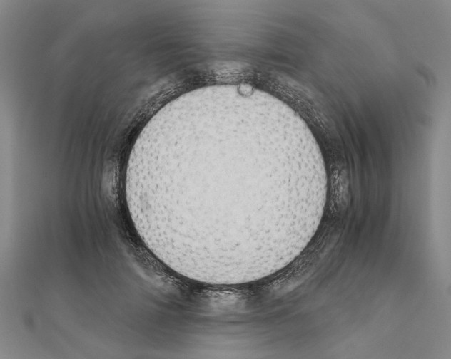 X0000111030698200908061436