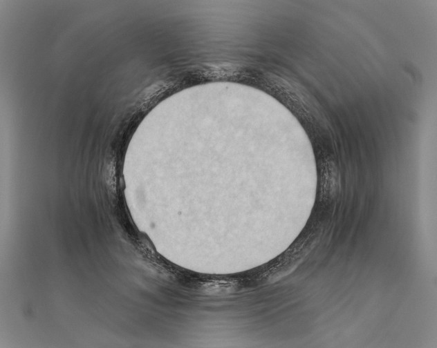 X0000111030700200908061436