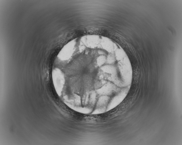X0000111030703200908061436