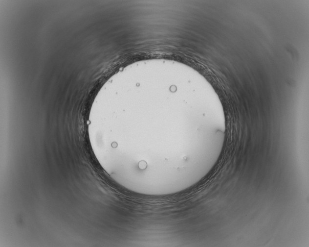 X0000111030704200908061436