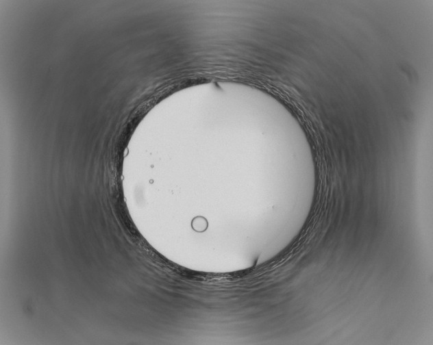 X0000111030705200908061436