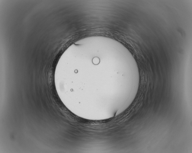 X0000111030708200908061436