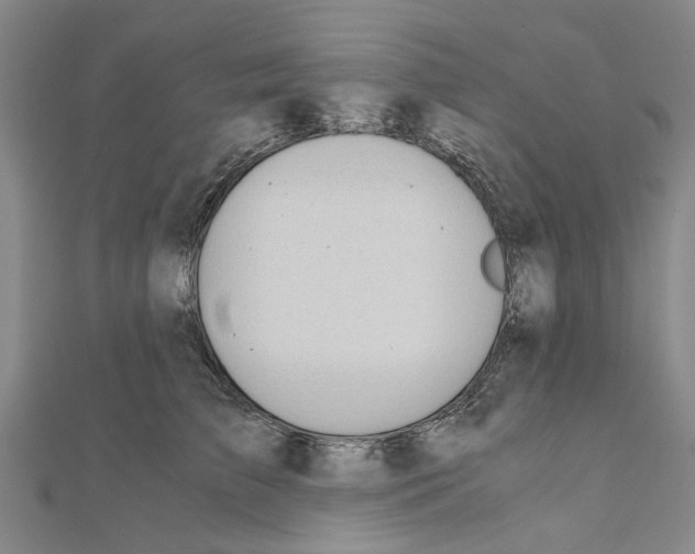 X0000111030709200908061436