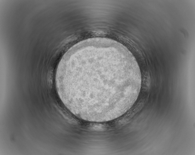 X0000111030710200908061436