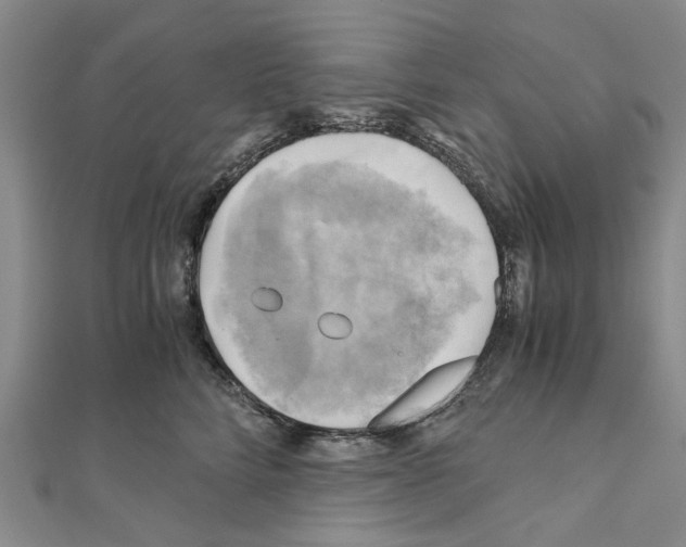 X0000111030712200908061436