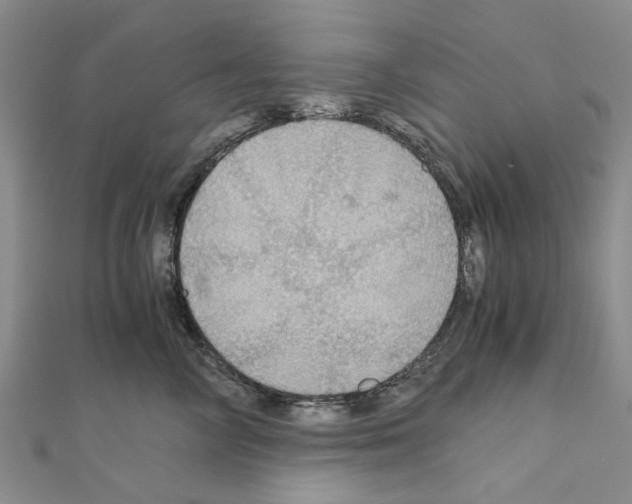 X0000111030714200908061435