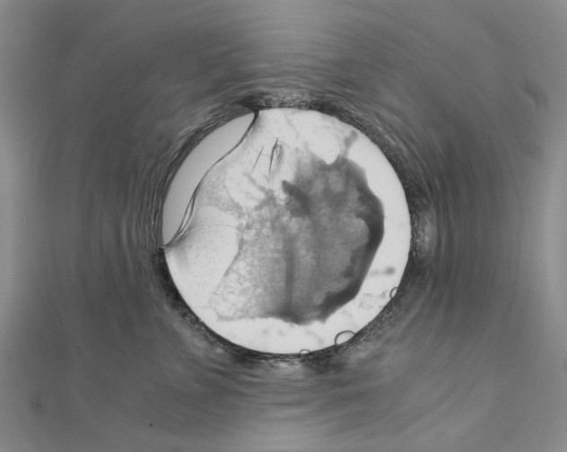 X0000111030715200908061435