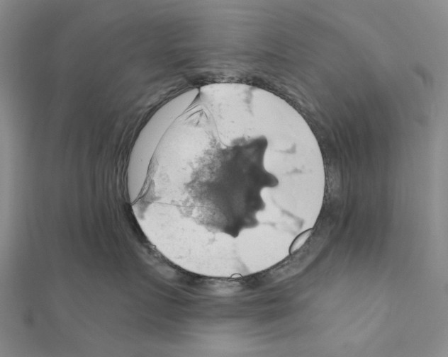 X0000111030719200908061435