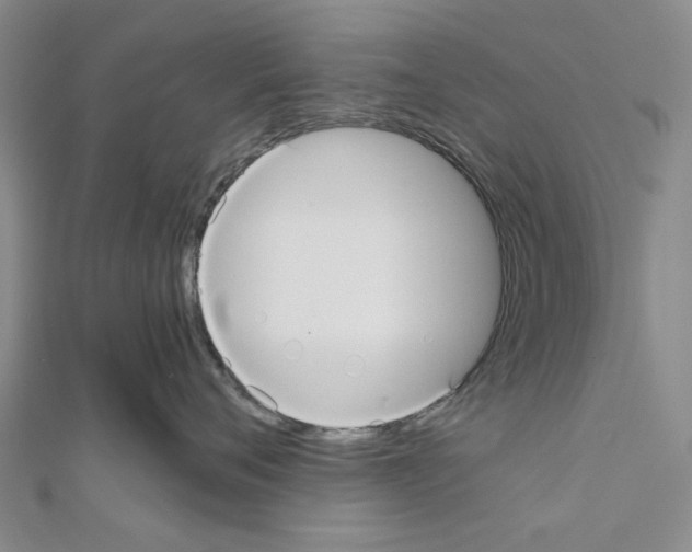 X0000111030720200908061435