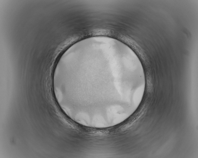 X0000111030721200908061435