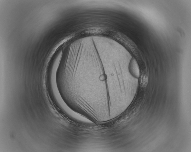 X0000111030724200908061435