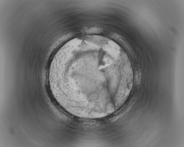 X0000111030725200908061435