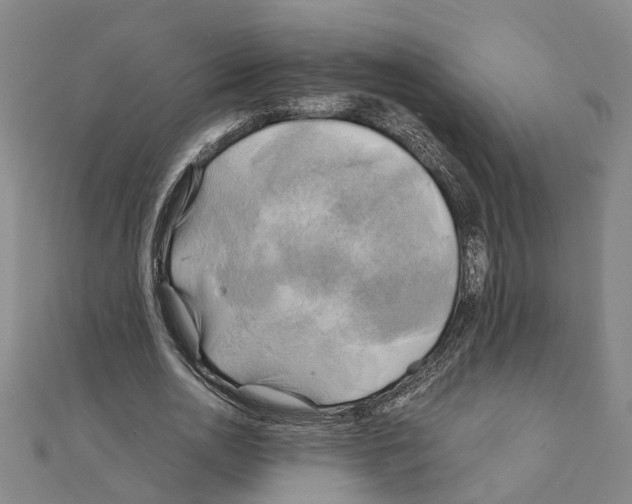 X0000111030726200908061435