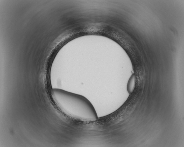 X0000111030728200908061435