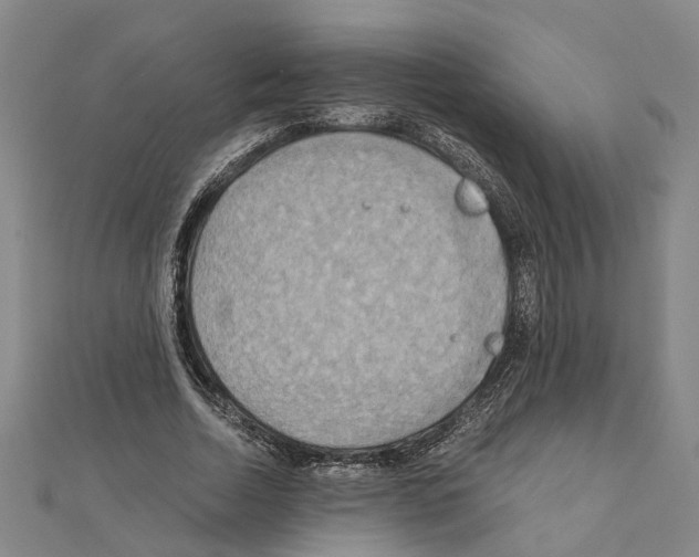 X0000111030730200908061435