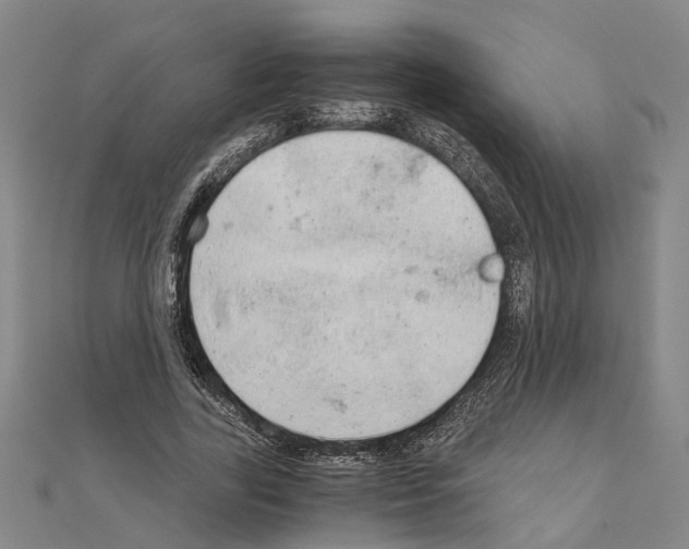 X0000111030731200908061435