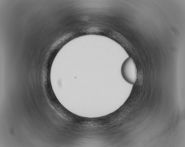 X0000111030732200908061435