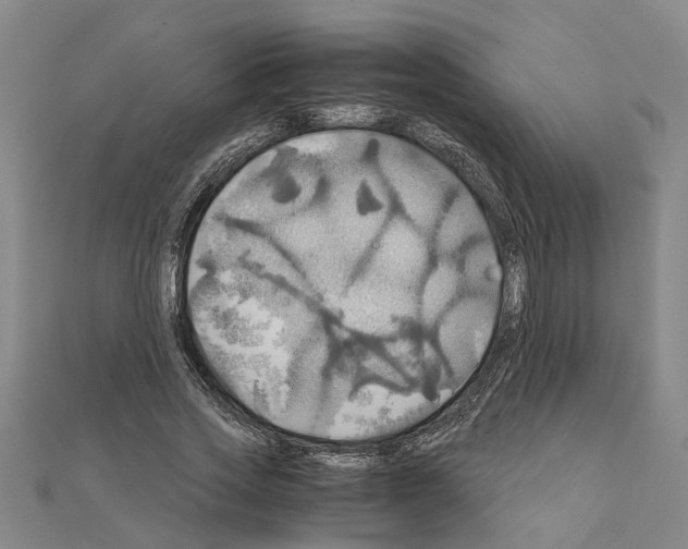 X0000111030733200908061435