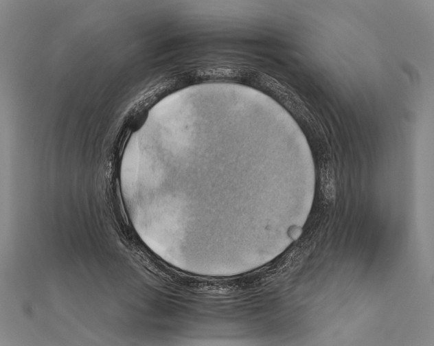 X0000111030735200908061435