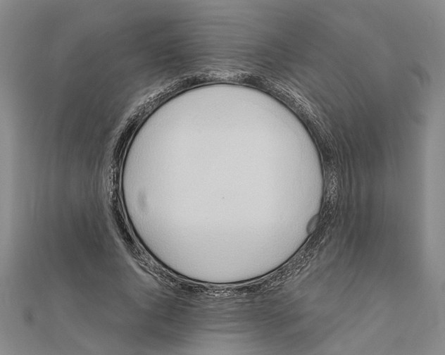 X0000111030736200908061435