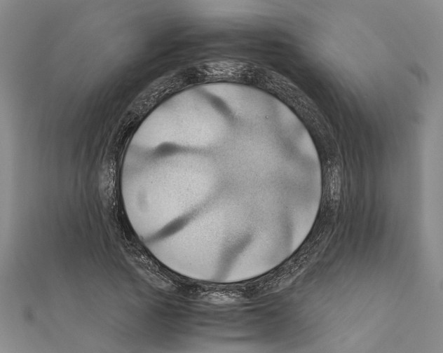 X0000111030737200908061435