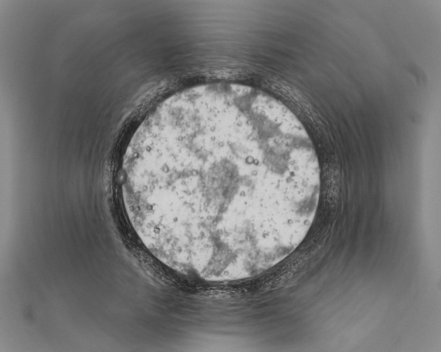 X0000111030738200908061435