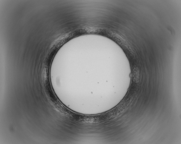 X0000111030740200908061435