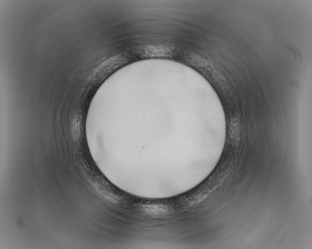 X0000111030741200908061435