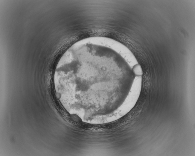 X0000111030742200908061435