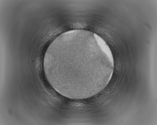X0000111030743200908061435