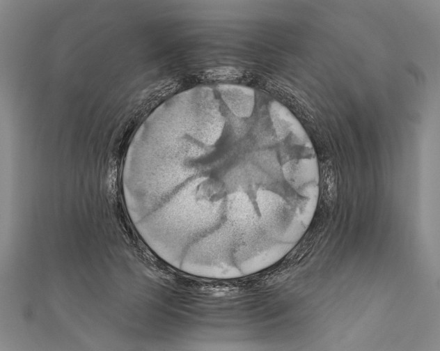 X0000111030745200908061435