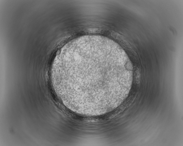 X0000111030746200908061435