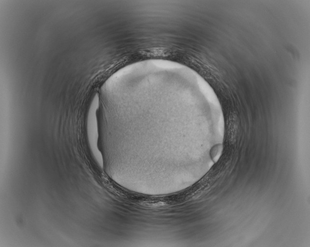 X0000111030747200908061435