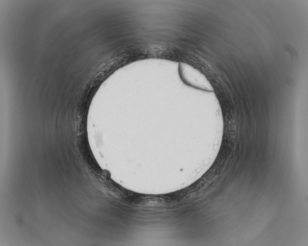 X0000111030750200908061435